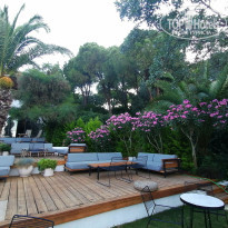 фото из отзыва ID 2656762