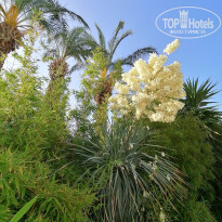 фото из отзыва ID 2656762