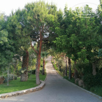 фото из отзыва ID 2656762