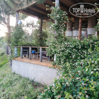 фото из отзыва ID 2656762