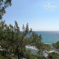 фото из отзыва ID 2656762