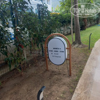 фото из отзыва ID 2656773