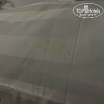 фото из отзыва ID 2656796