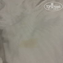 фото из отзыва ID 2656796