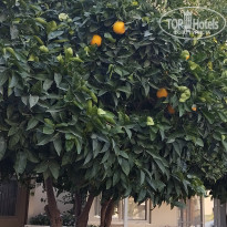 фото из отзыва ID 2656826