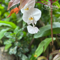 фото из отзыва ID 2656924