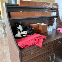 фото из отзыва ID 2657071