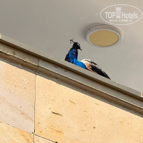 фото из отзыва ID 2657071