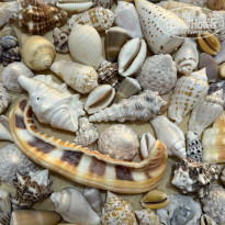 фото из отзыва ID 2657103