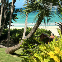 фото из отзыва ID 2657177