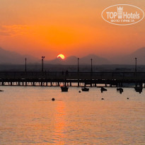 фото из отзыва ID 2657182