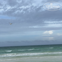 фото из отзыва ID 2657184