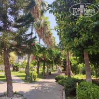 фото из отзыва ID 2657222