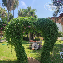 фото из отзыва ID 2657222