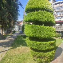 фото из отзыва ID 2657222