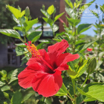 фото из отзыва ID 2657222