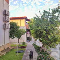 фото из отзыва ID 2657222