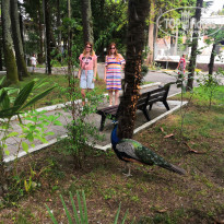 фото из отзыва ID 2657269