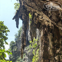 фото из отзыва ID 2657307