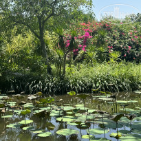 фото из отзыва ID 2657308