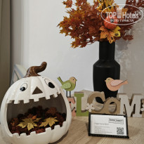 фото из отзыва ID 2657430