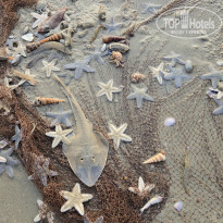 фото из отзыва ID 2656429