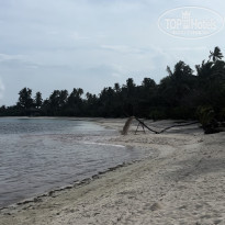 фото из отзыва ID 2657491