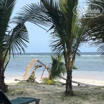 фото из отзыва ID 2657491