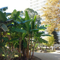 фото из отзыва ID 2656830