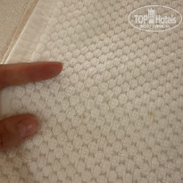 фото из отзыва ID 2657517