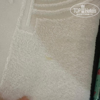 фото из отзыва ID 2657517