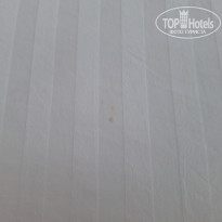 фото из отзыва ID 2657517