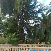 фото из отзыва ID 2657521