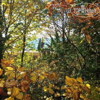 фото из отзыва ID 2657521