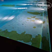 фото из отзыва ID 2657548