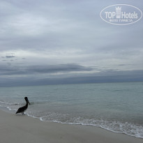 фото из отзыва ID 2657550