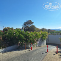 фото из отзыва ID 2657617