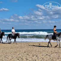 фото из отзыва ID 2657617