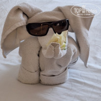 фото из отзыва ID 2657617