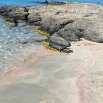 фото из отзыва ID 2657617