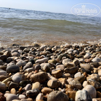 фото из отзыва ID 2657637