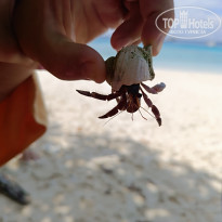 фото из отзыва ID 2657684