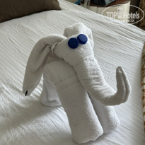 фото из отзыва ID 2657731