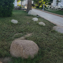 фото из отзыва ID 2657746