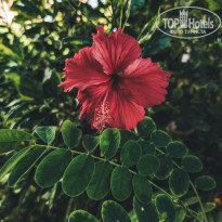 фото из отзыва ID 2657746