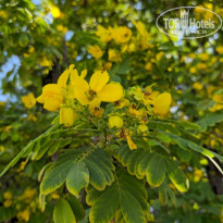 фото из отзыва ID 2657746