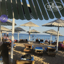 фото из отзыва ID 2657746