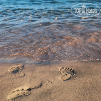 фото из отзыва ID 2657746