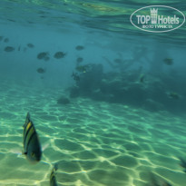 фото из отзыва ID 2657746