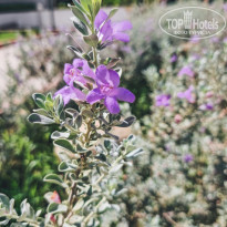 фото из отзыва ID 2657746